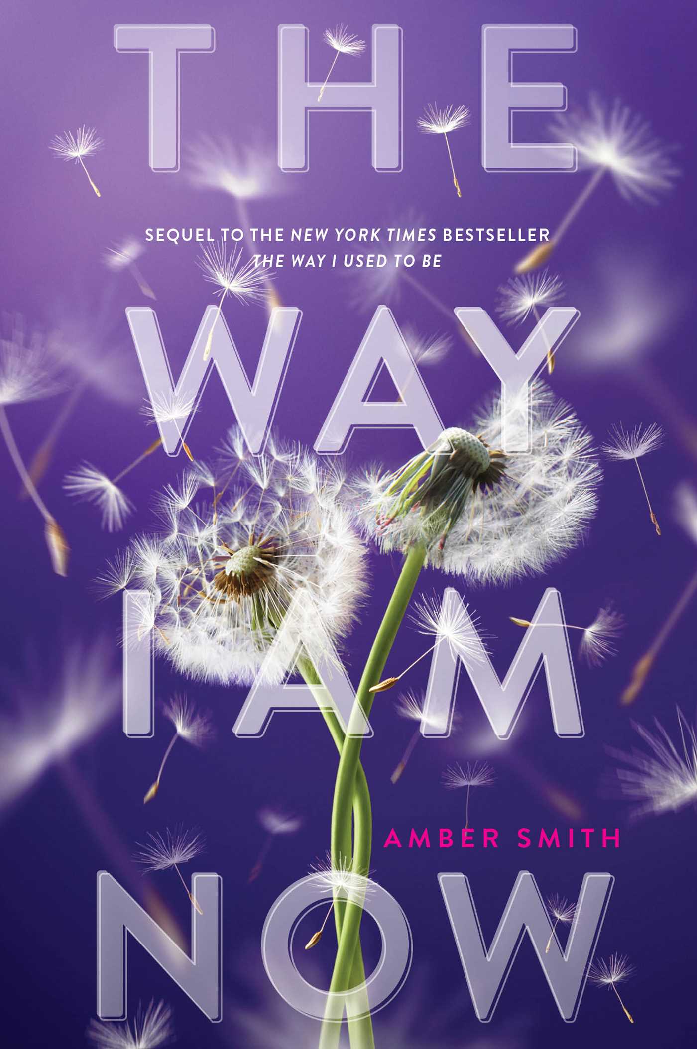 The Way I Am Now - by Amber Smith (Hardcover)