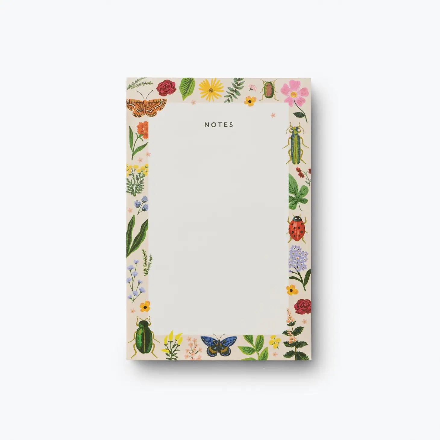 Curio Notepad