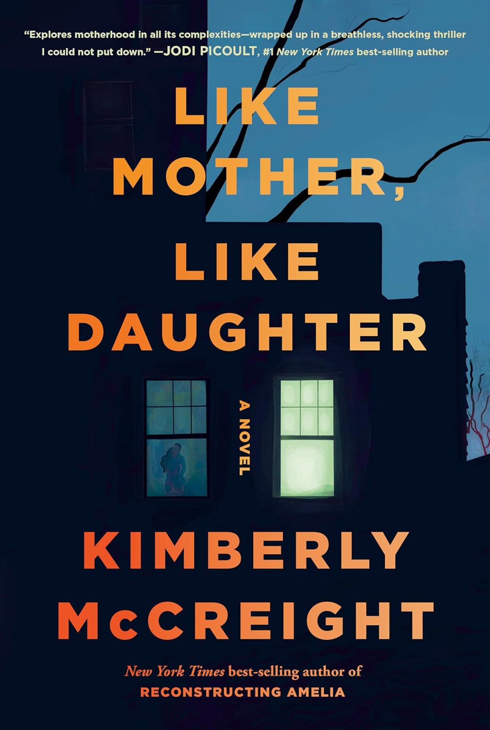 Like Mother, Like Daughter - by Kimberly McCreight (Hardcover)