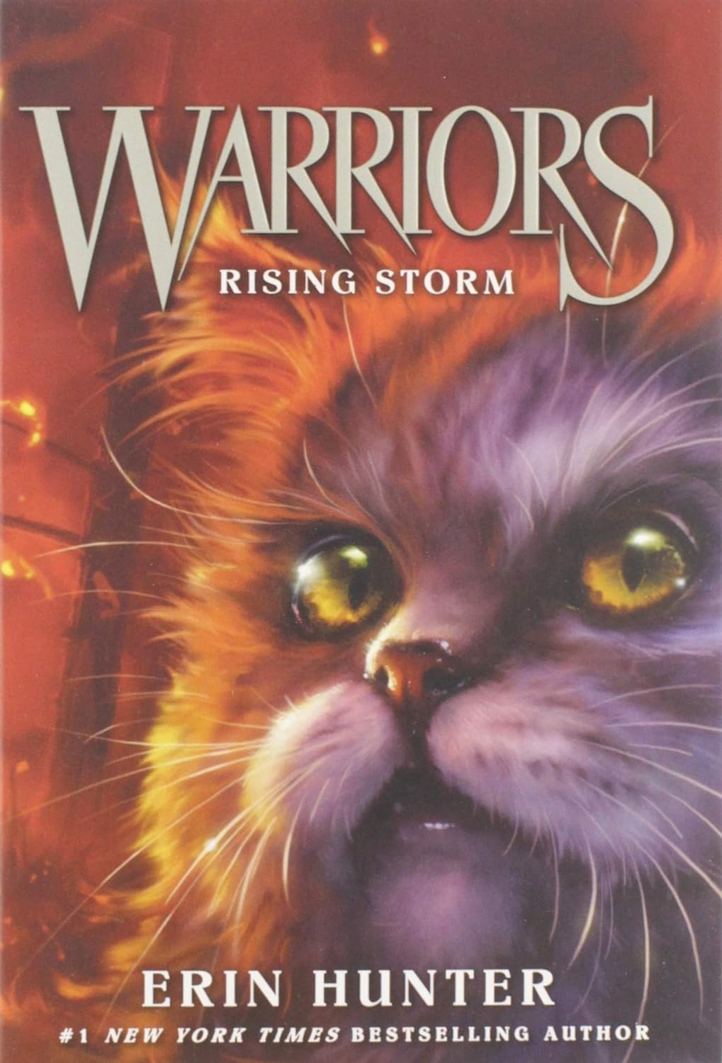 Warriors #4: Rising Storm - by Erin Hunter