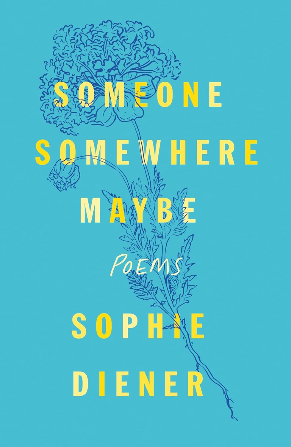 Someone Somewhere Maybe: Poems - by Sophie Diener