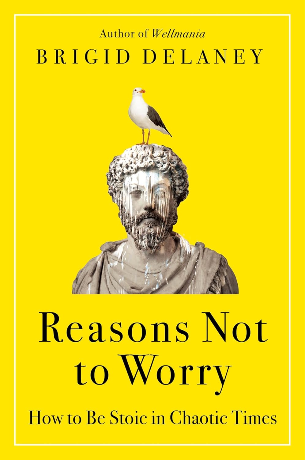 Reasons Not to Worry: How to Be Stoic in Chaotic Times - by Brigid Delaney