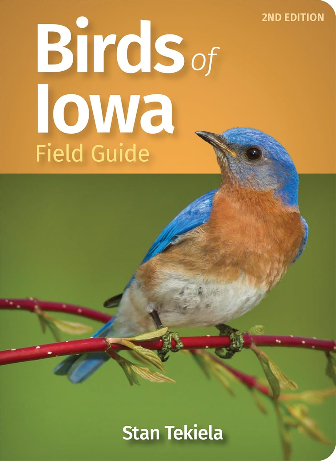 Birds of Iowa Field Guide (Revised) (Bird Identification Guides) (2ND ed.) - by Stan Tekiela