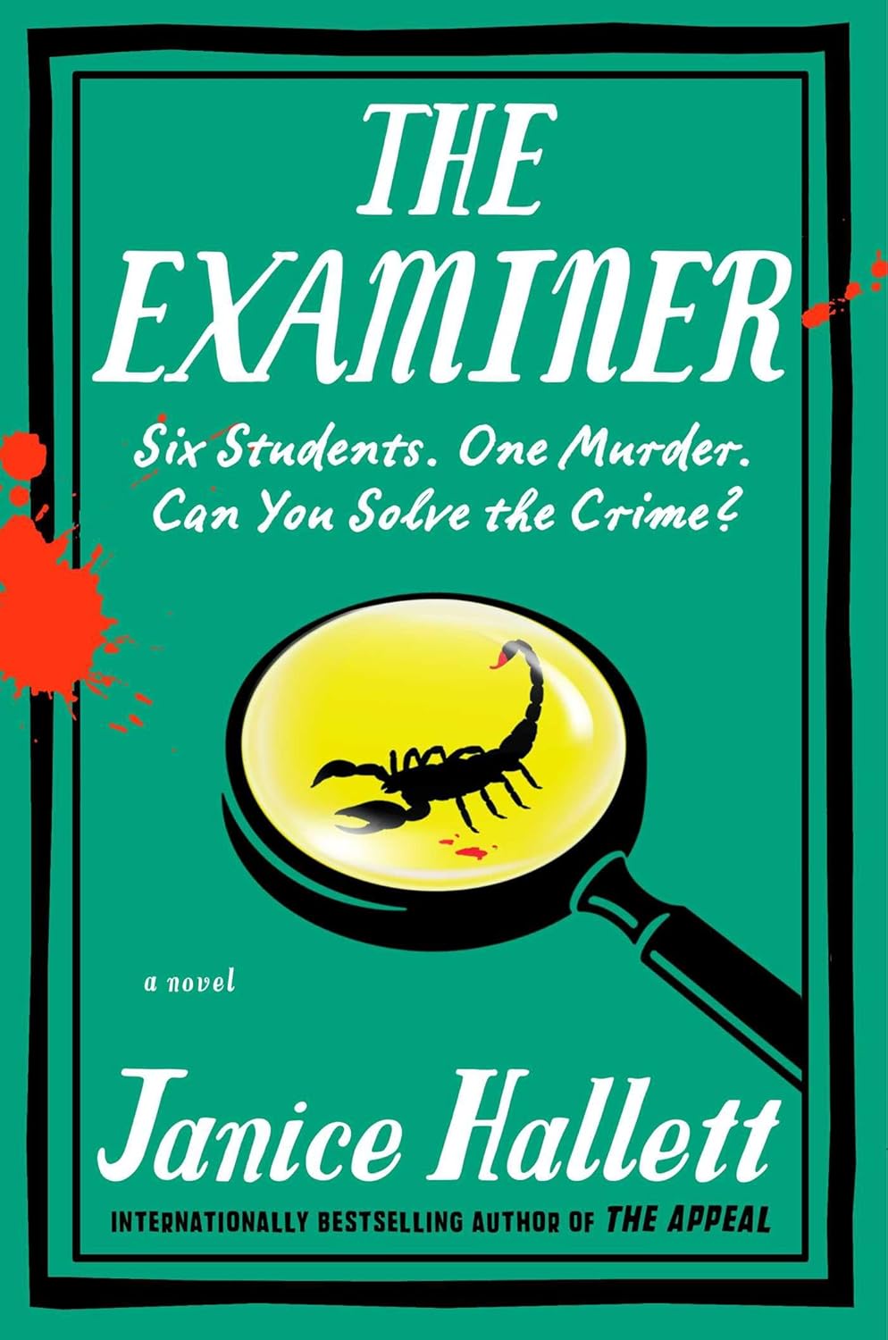 The Examiner - by Janice Hallett (Hardcover)