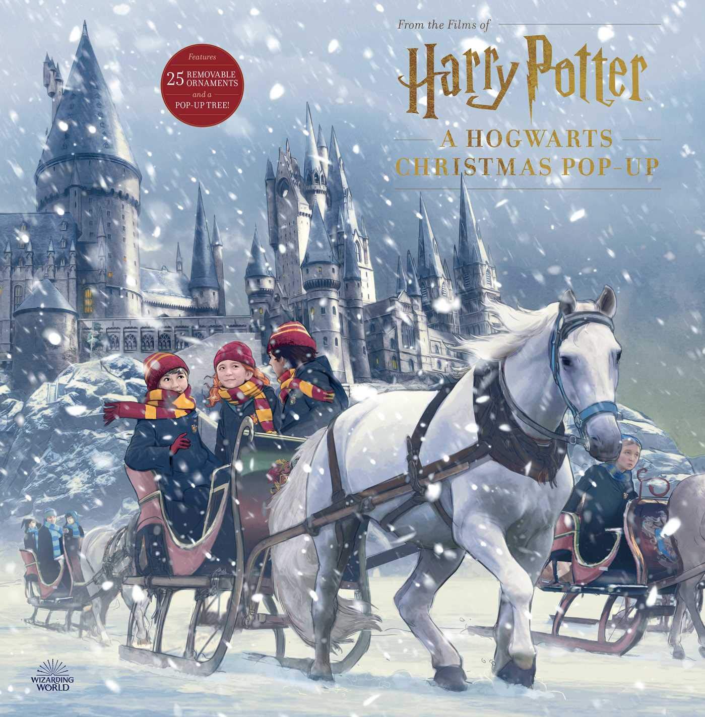 Harry Potter: A Hogwarts Christmas Pop-Up (Advent Calendar) (Hardcover)