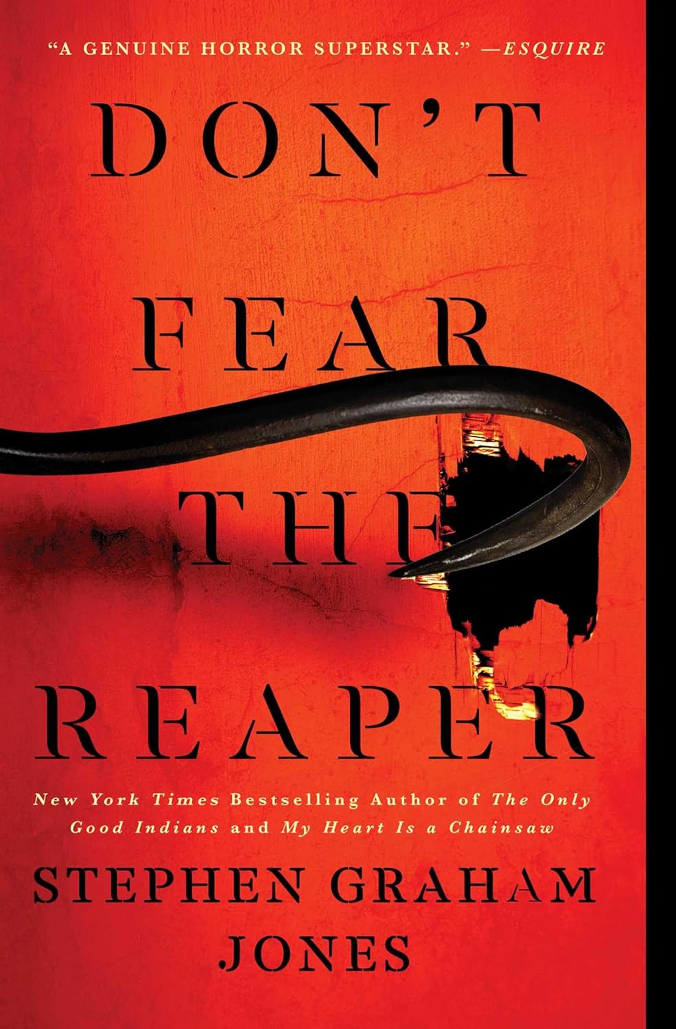 Don't Fear the Reaper (The Indian Lake Trilogy #2) - by Stephen Graham Jones