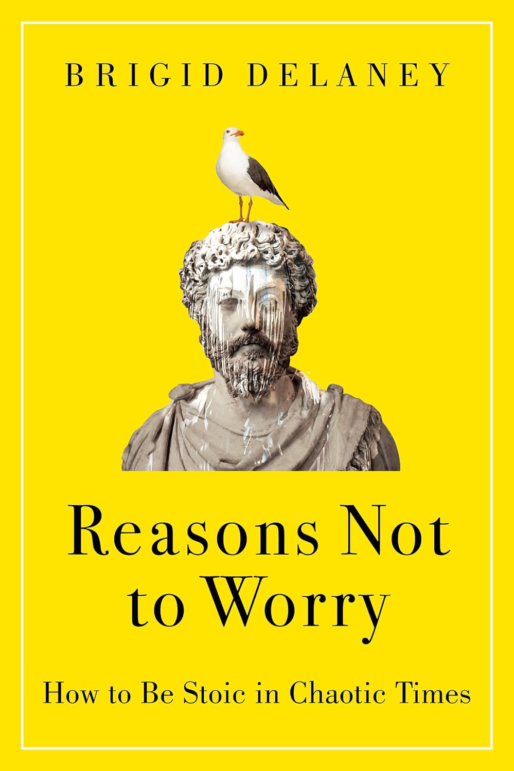 Reasons Not to Worry: How to Be Stoic in Chaotic Times - by Brigid Delaney (Hardcover)