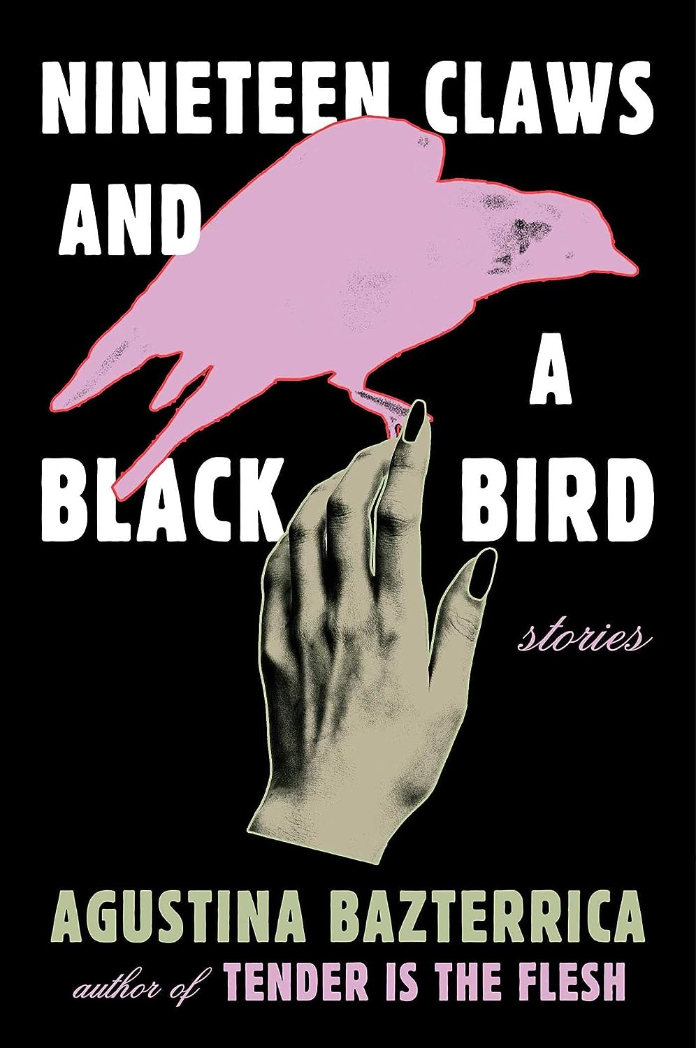 Nineteen Claws and a Black Bird: Stories - by Agustina Bazterrica