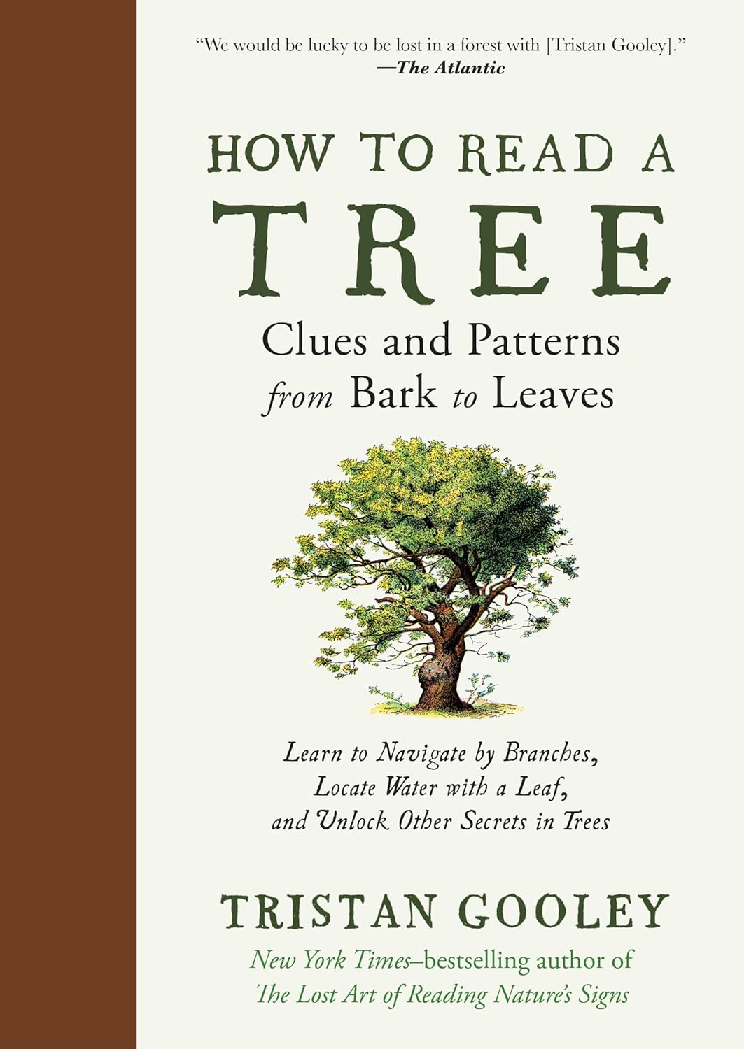 How to Read a Tree: Clues and Patterns from Bark to Leaves (Natural Navigation) - by Tristan Gooley  (Hardcover)