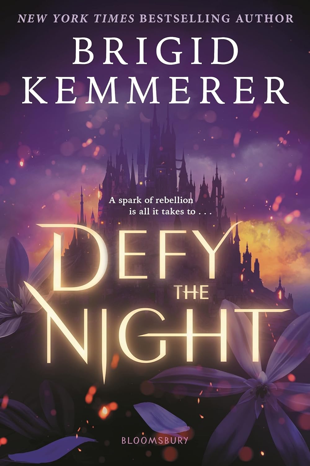 Defy the Night (Defy the Night #1) - by Brigid Kemmerer