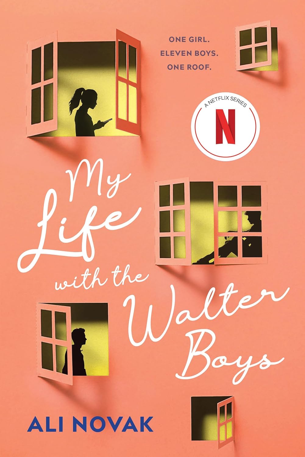 My Life with the Walter Boys - by Ali Novak