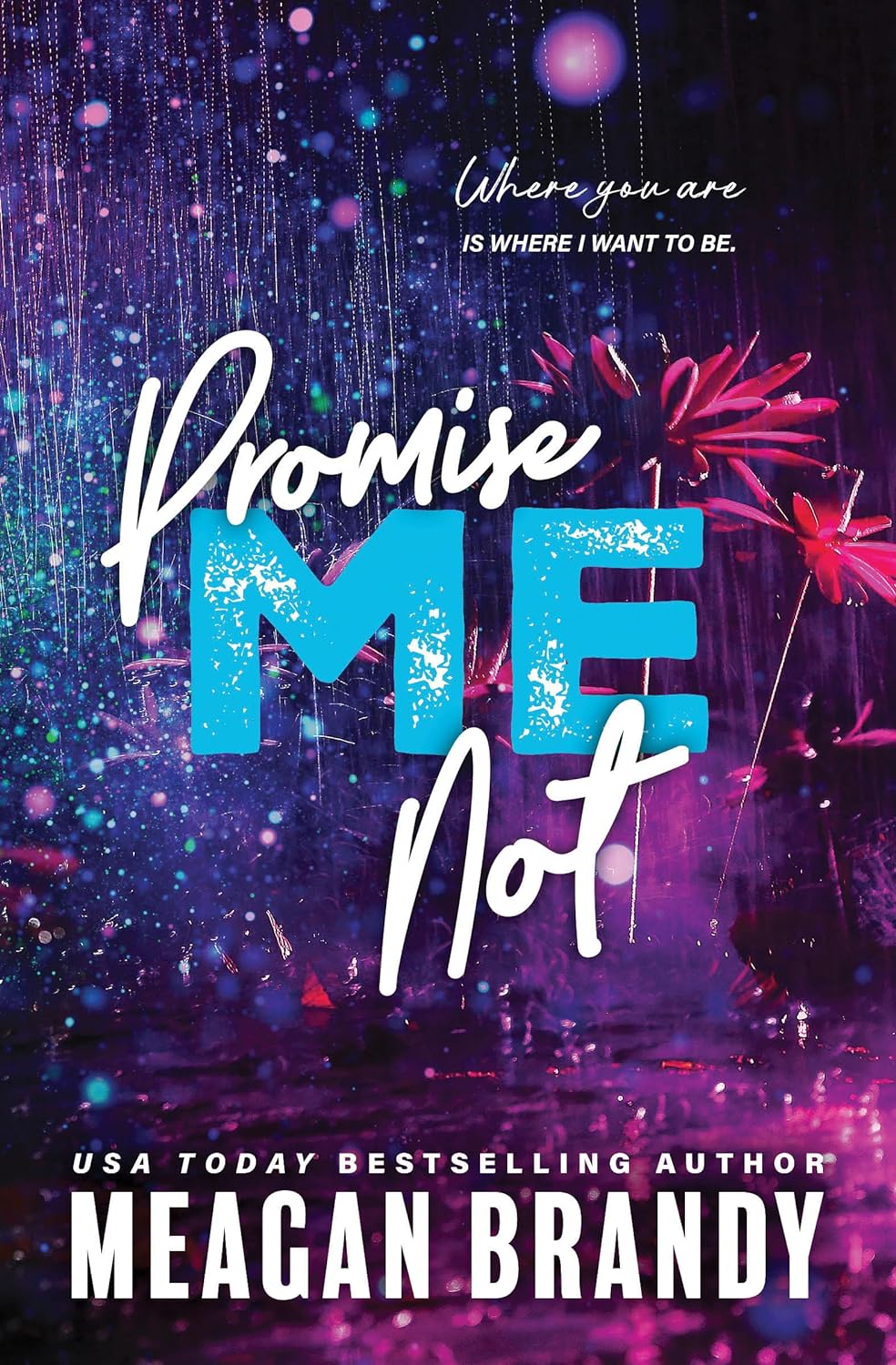 Promise Me Not (Boys of Avix #2) - by Meagan Brandy