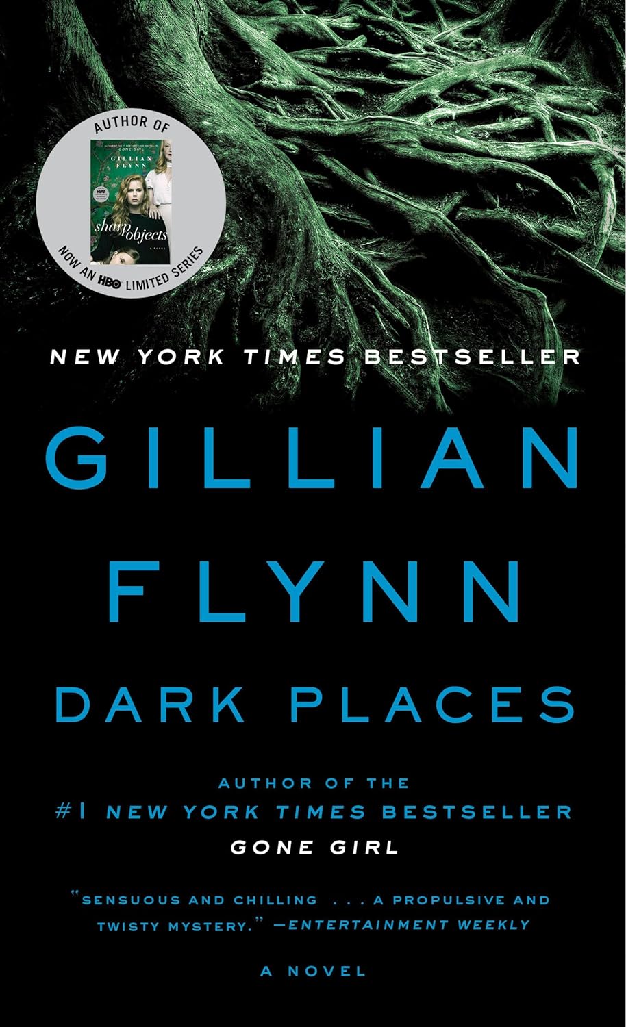 Dark Places - by Gillian Flynn