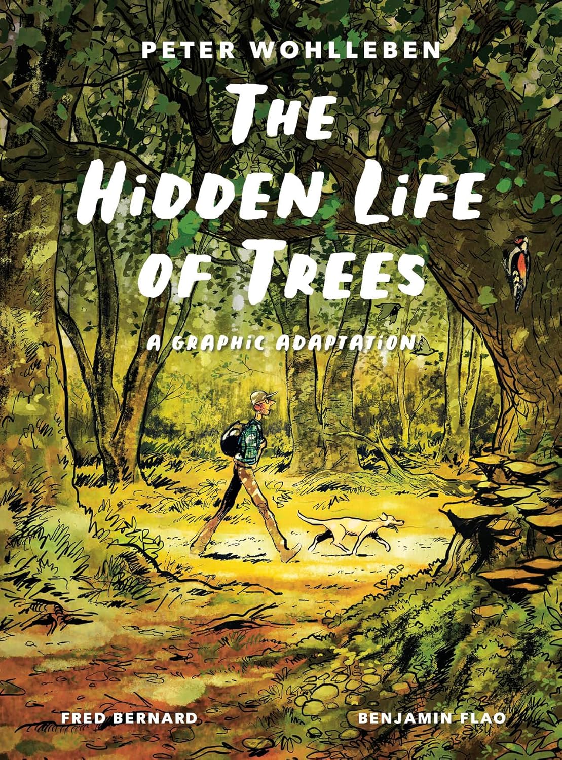 The Hidden Life of Trees: A Graphic Adaptation: (Of the International Bestseller) - by Peter Wohlleben (Hardcover)