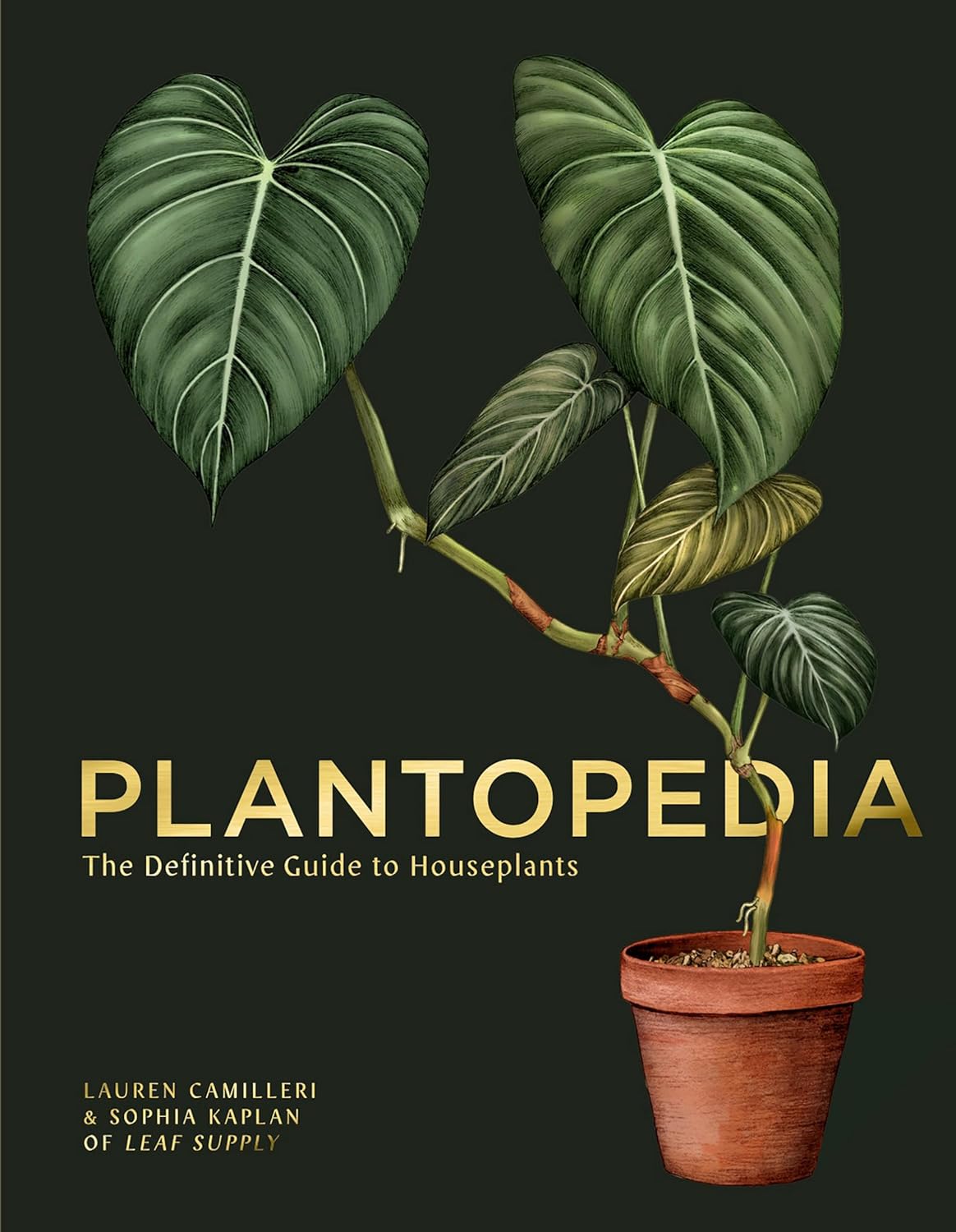 Plantopedia: The Definitive Guide to Houseplants - by Lauren Camilleri (Hardcover)