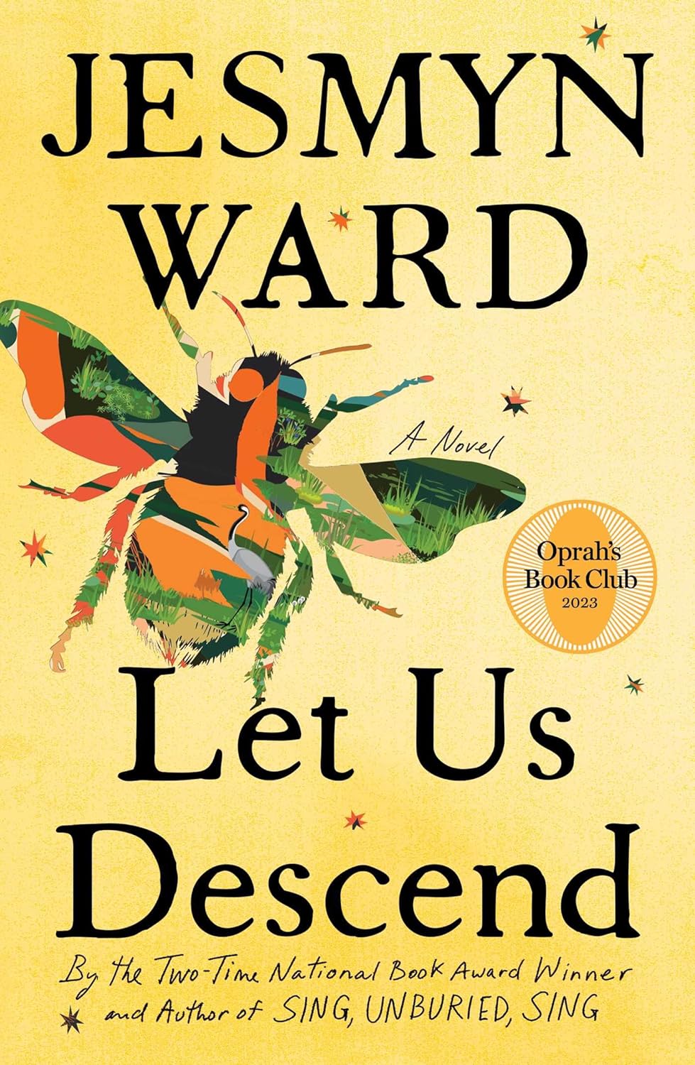 Let Us Descend - by Jesmyn Ward (Hardcover)