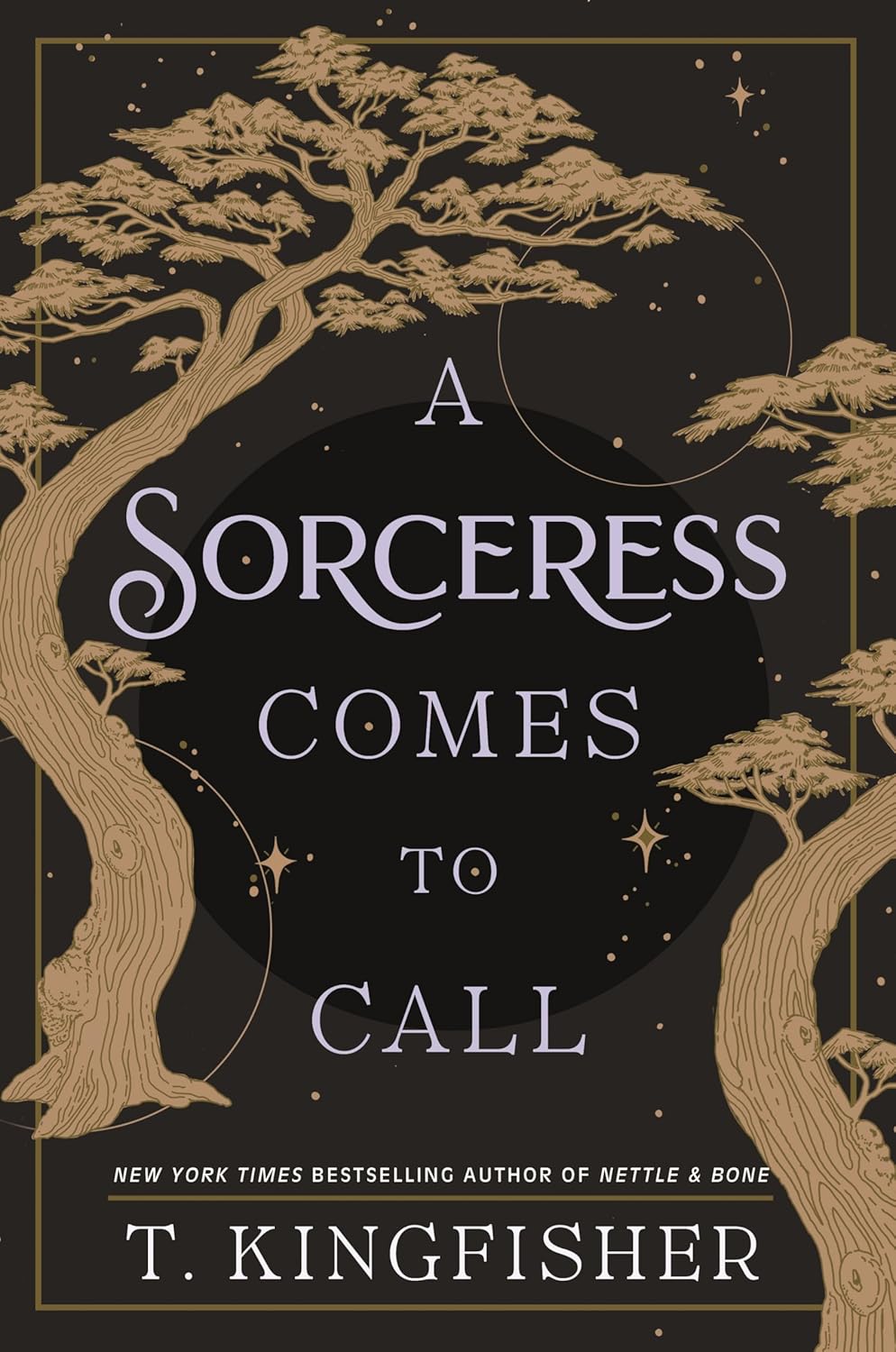 A Sorceress Comes to Call - by T. Kingfisher (Hardcover)