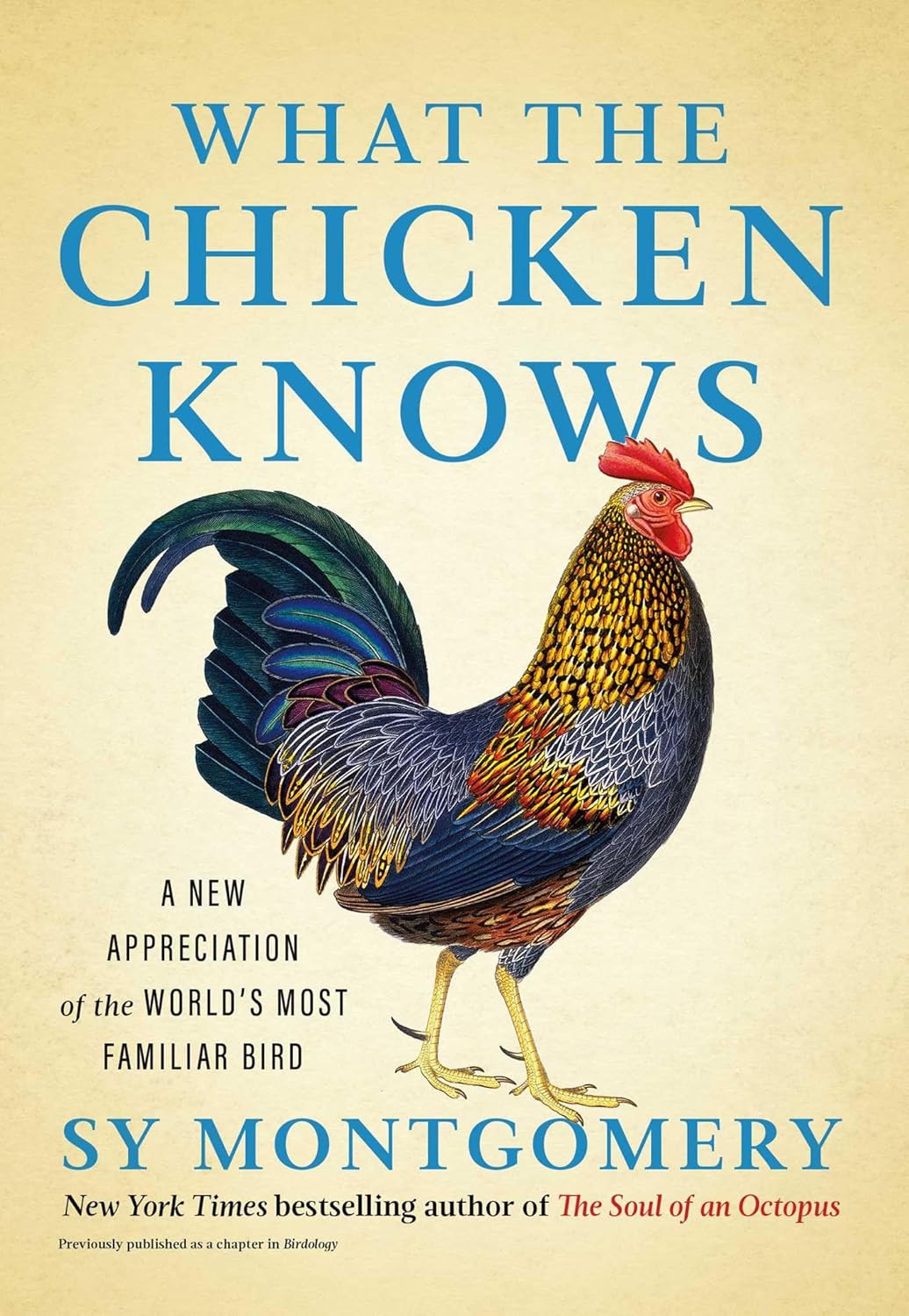 What the Chicken Knows: A New Appreciation of the World's Most Familiar Bird - by Sry Montgomery (Hardcover)