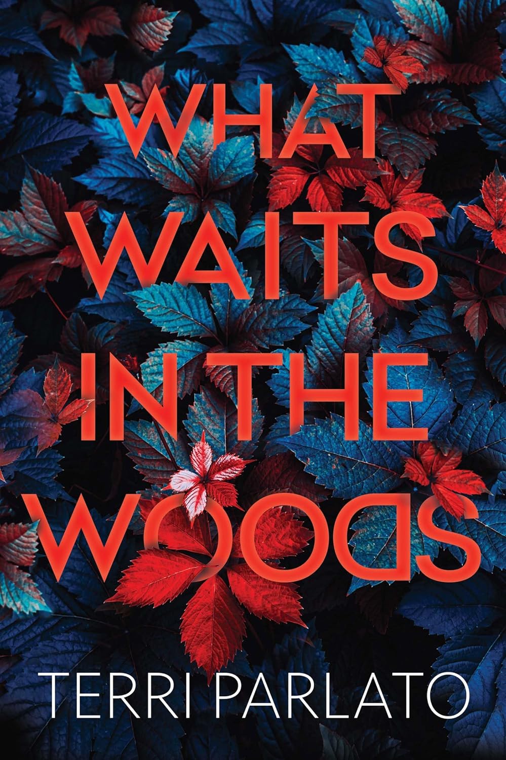 What Waits in the Woods - by Terri Parlato (Hardcover)