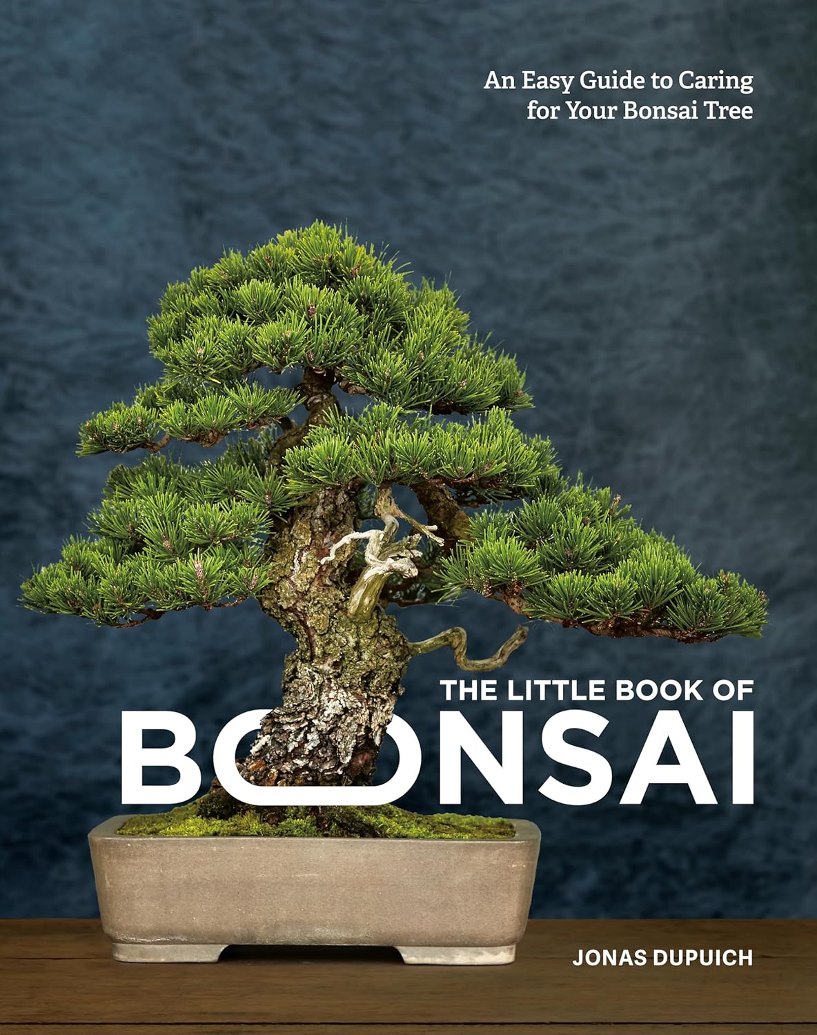 The Little Book of Bonsai: An Easy Guide to Caring for Your Bonsai Tree - by Jonas Dupuich (Hardcover)