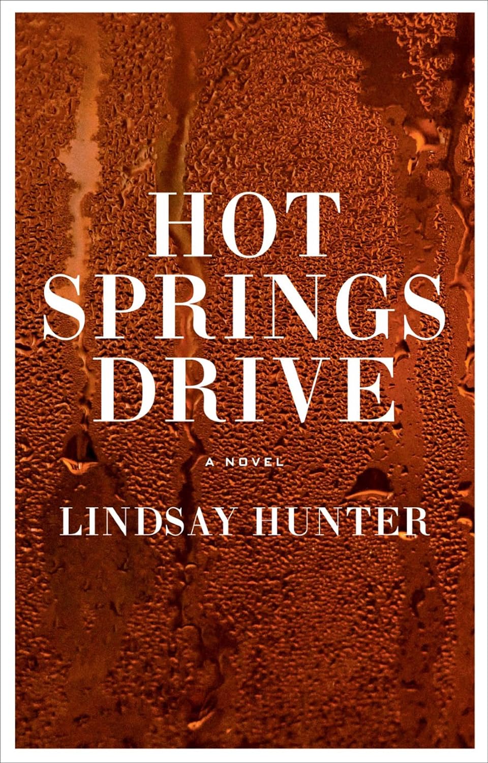 Hot Springs Drive - by Lindsay Hunter (Hardcover)
