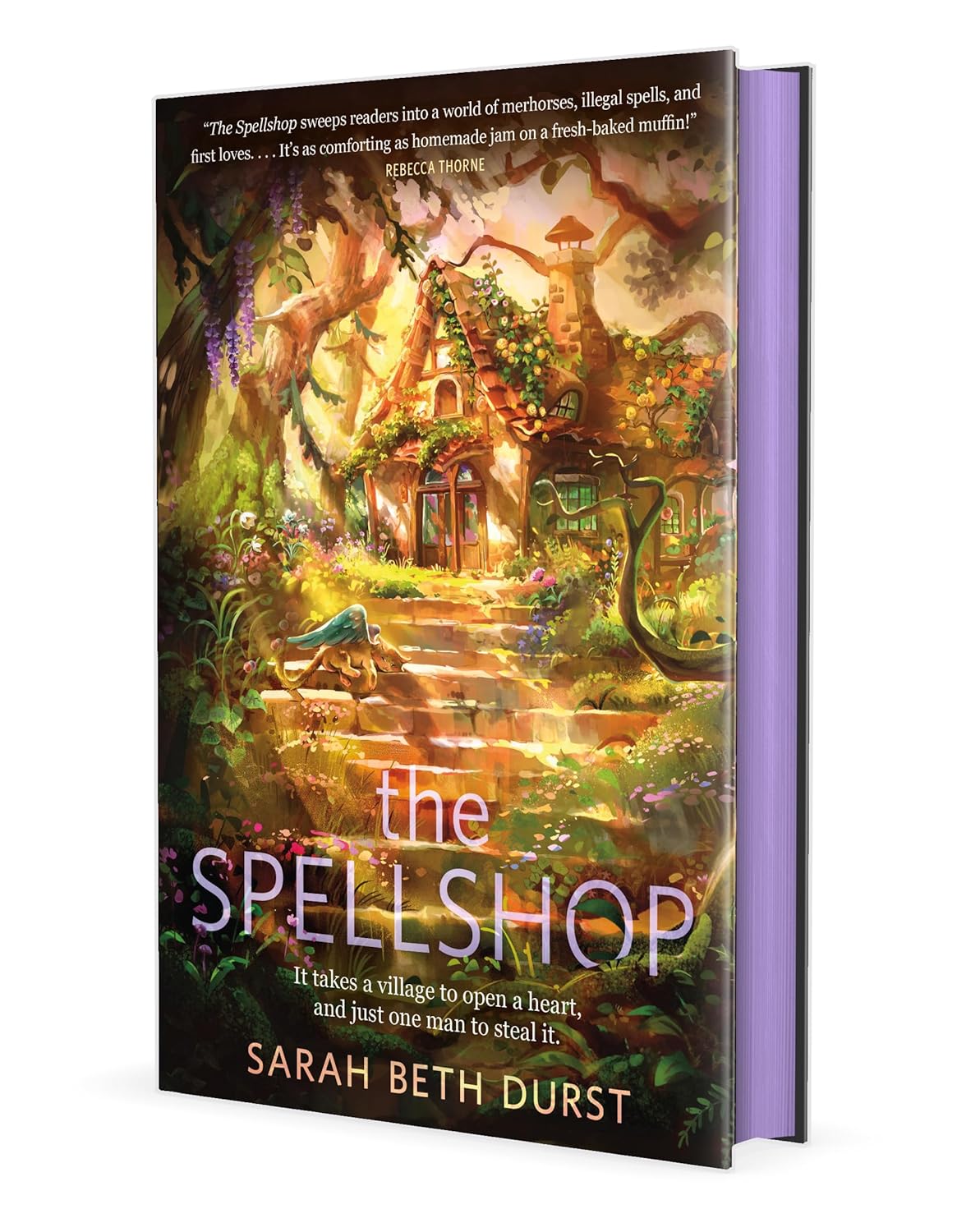 The Spellshop - by Sarah Beth Durst (Hardcover)