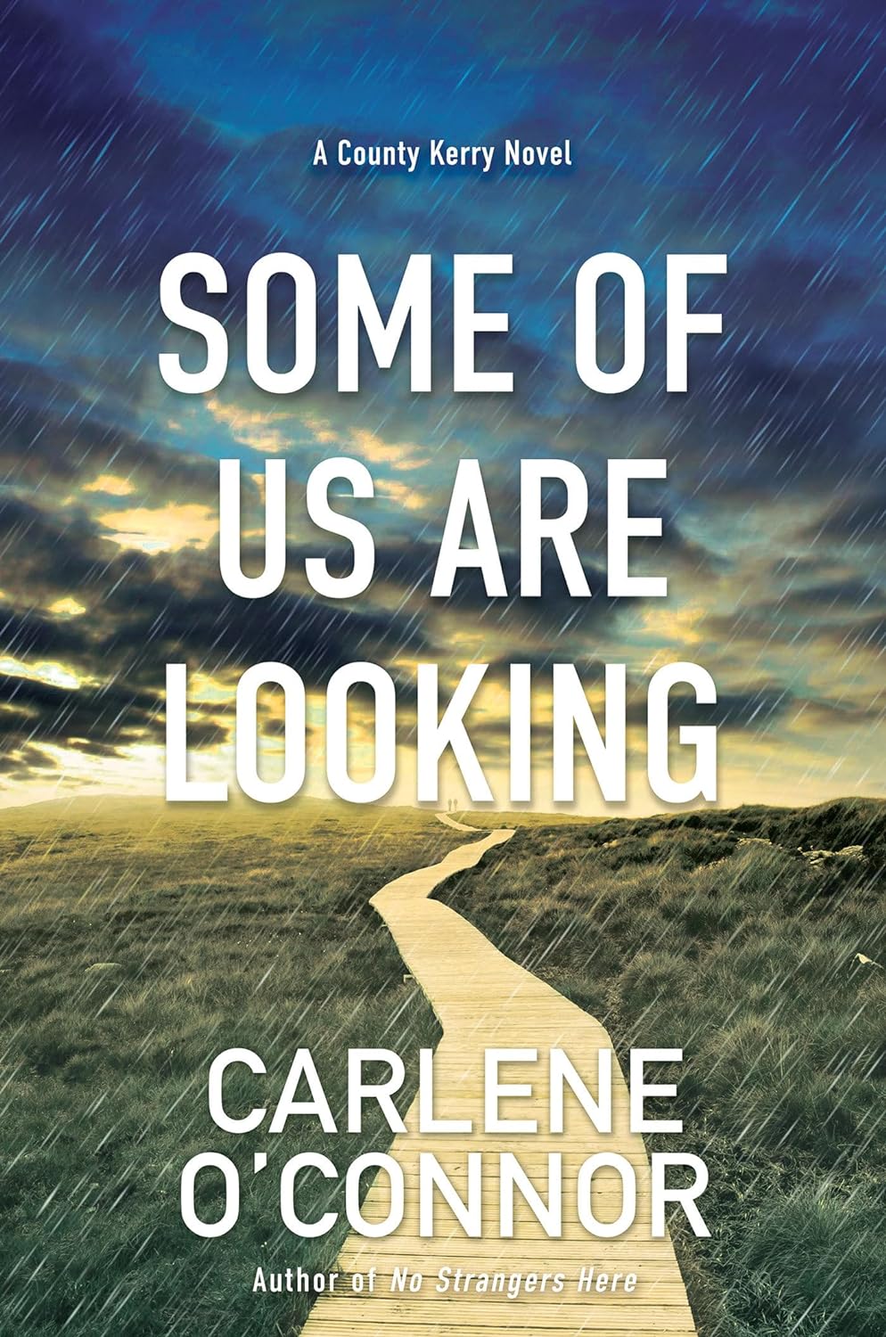 Some of Us Are Looking - by Carlene O'Connor (Hardcover)