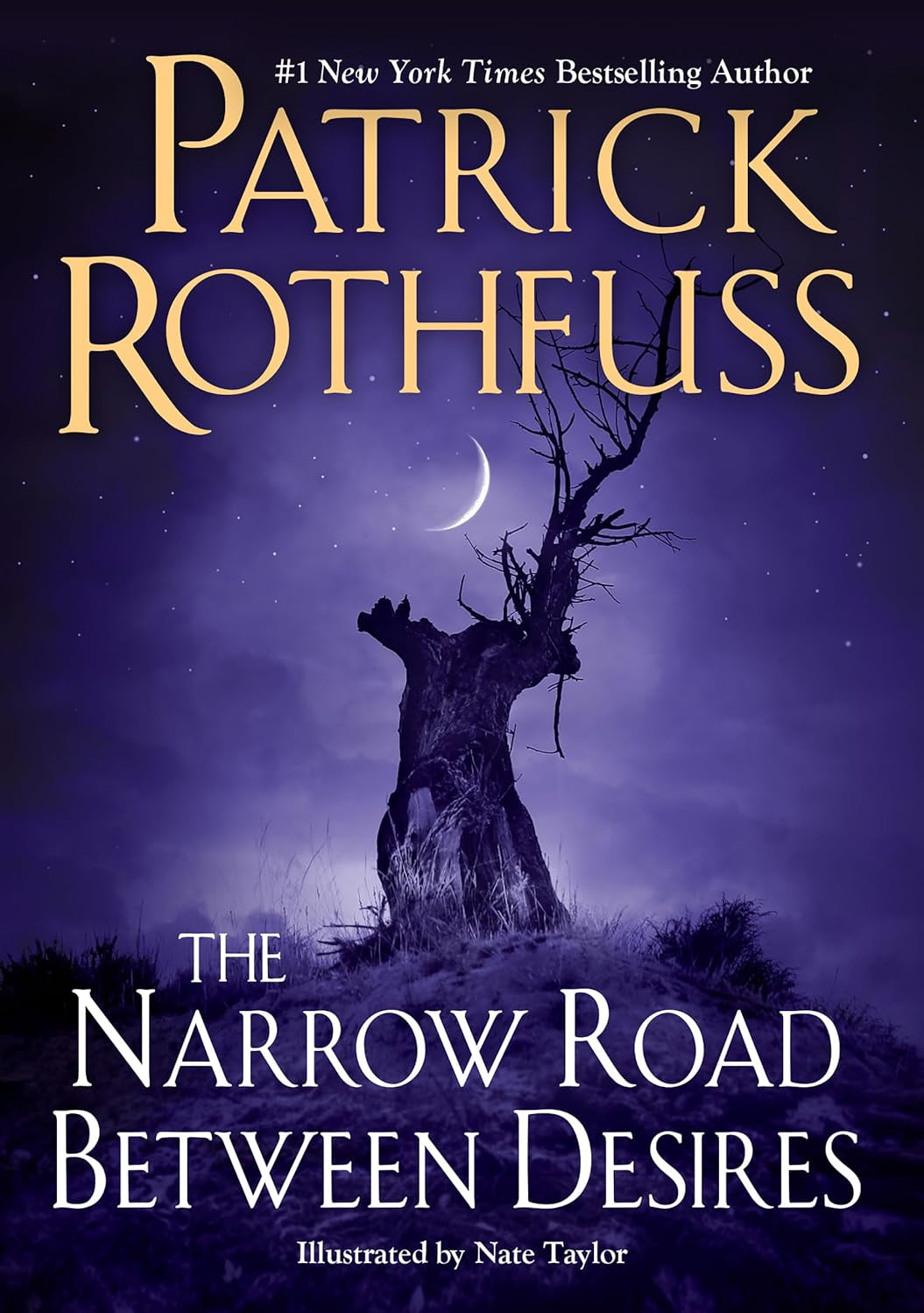 The Narrow Road Between Desires - by Patrick Rothfuss (Hardcover)