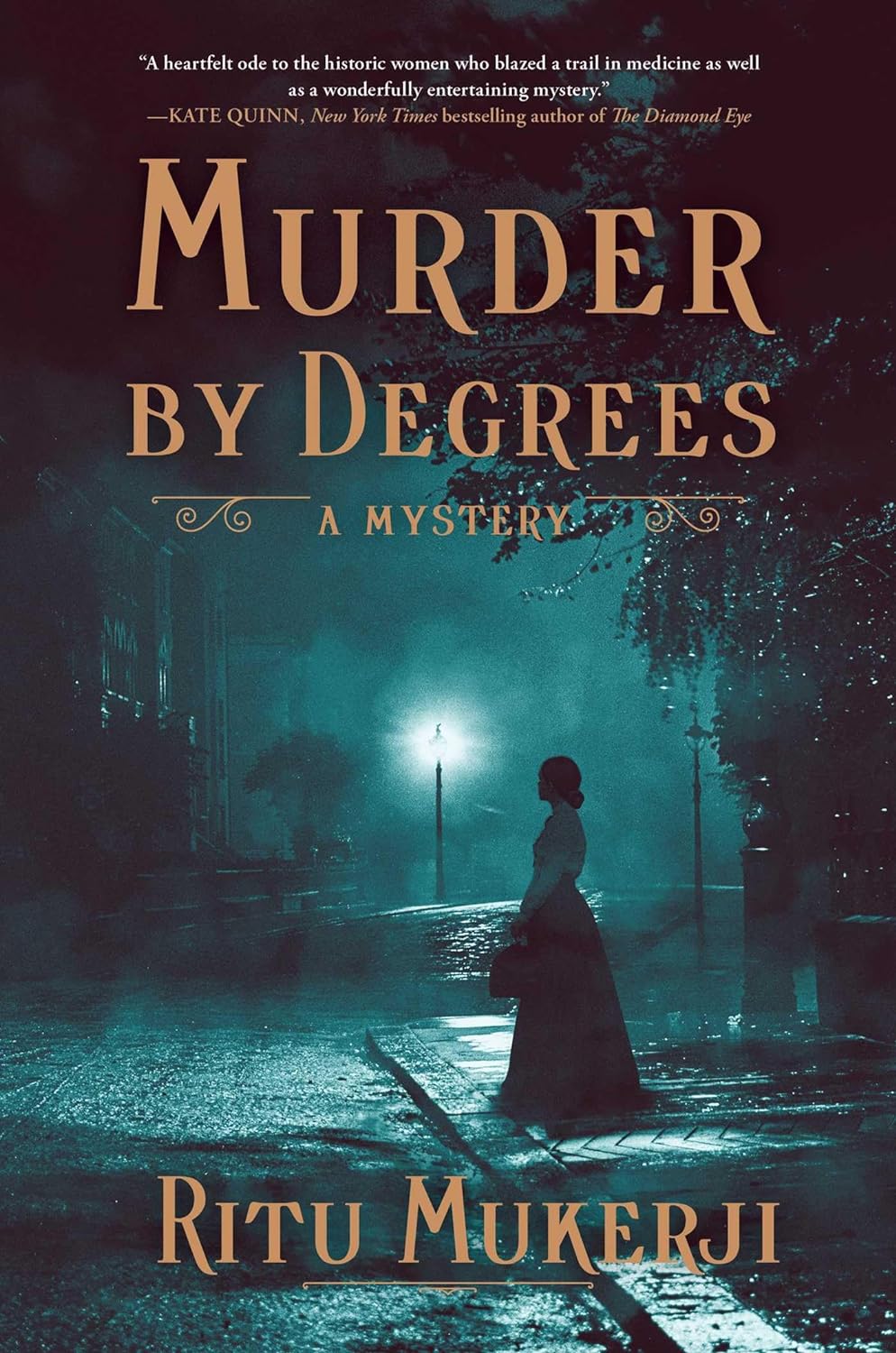 Murder by Degrees: A Mystery - by Ritu Mukerji (Hardcover)