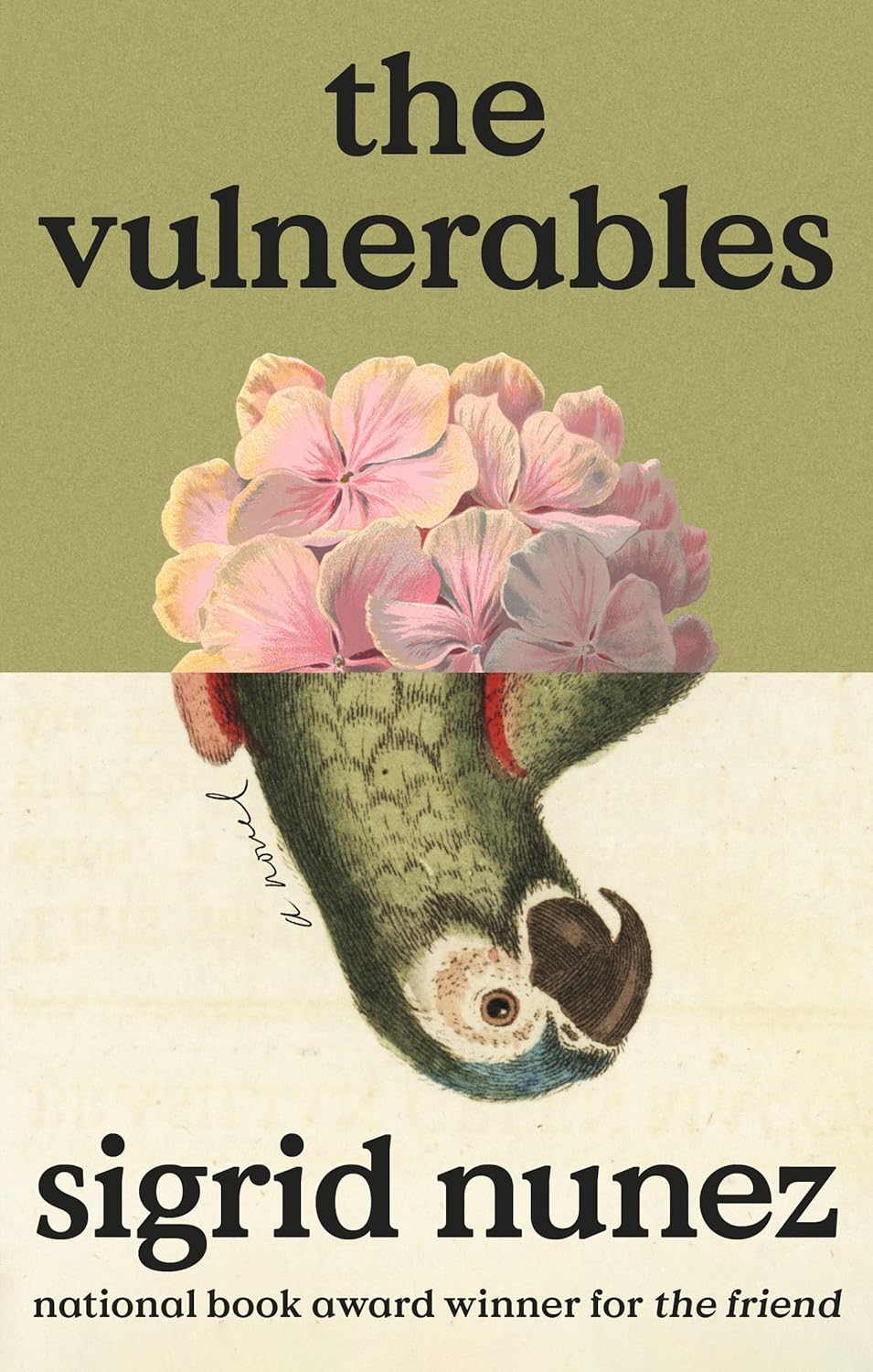 The Vulnerables - by Sigrid Nunez (Hardcover)