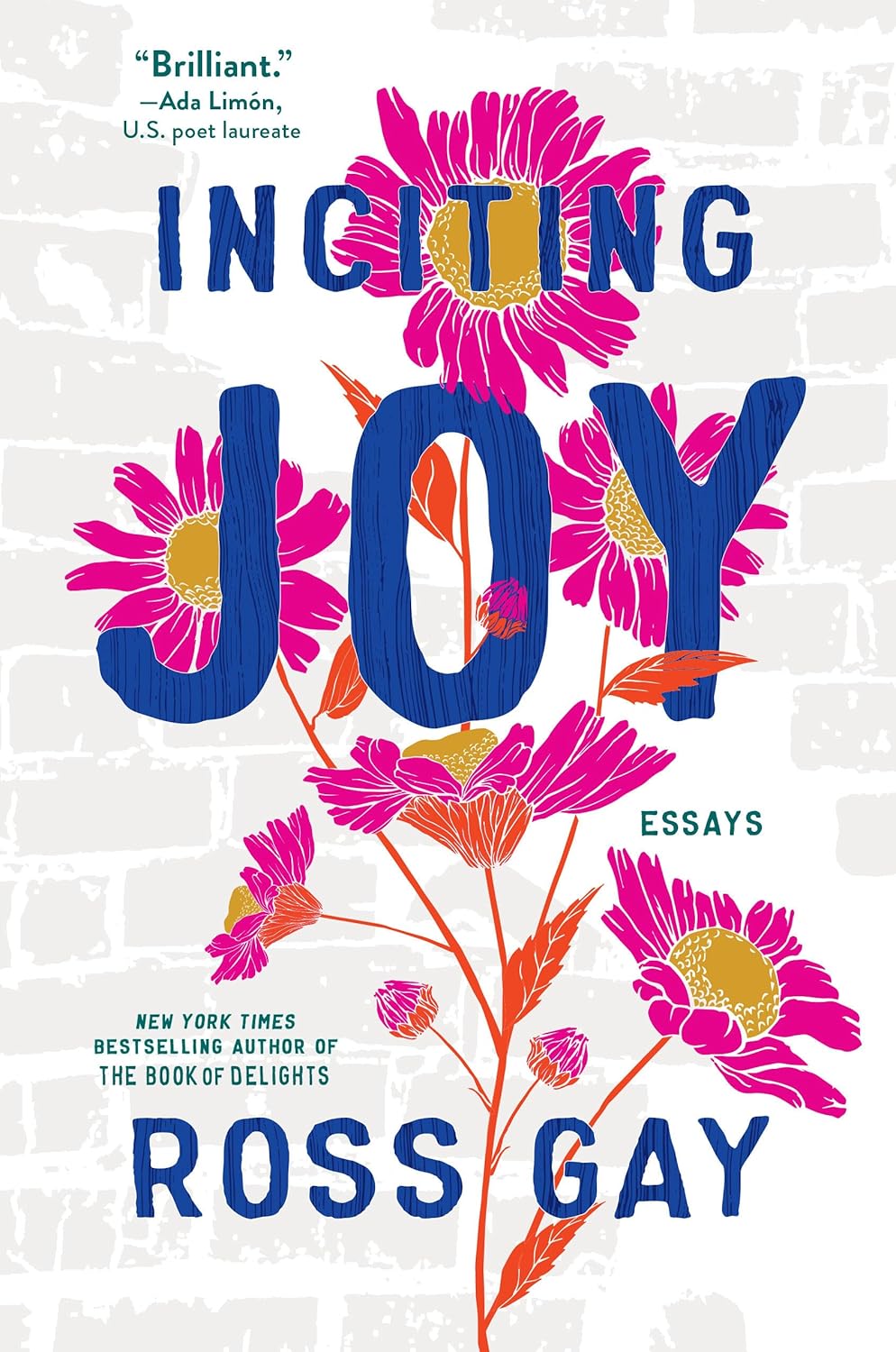 Inciting Joy: Essays - by Ross Gay