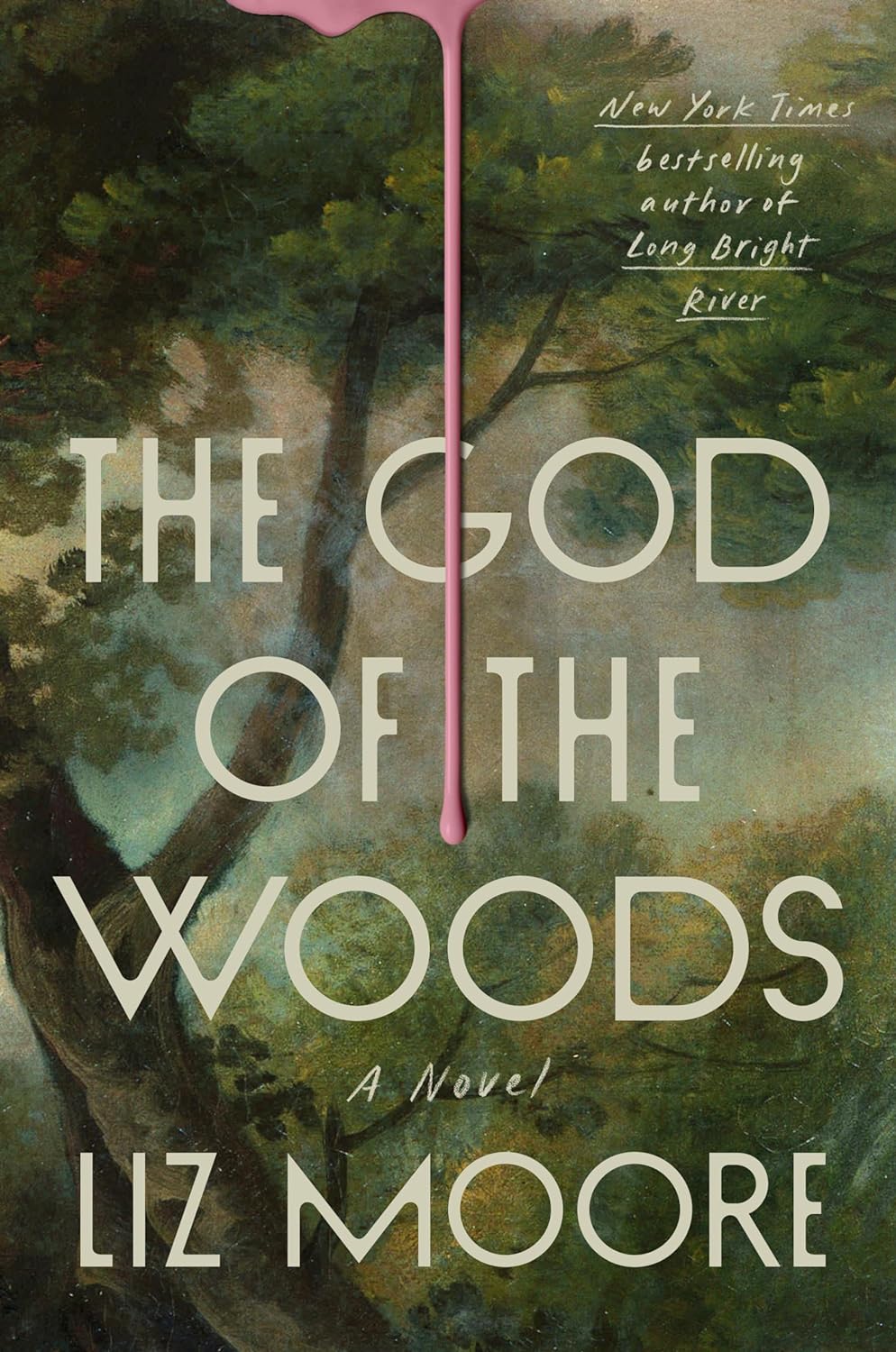 The God of the Woods - by Liz Moore (Hardcover)