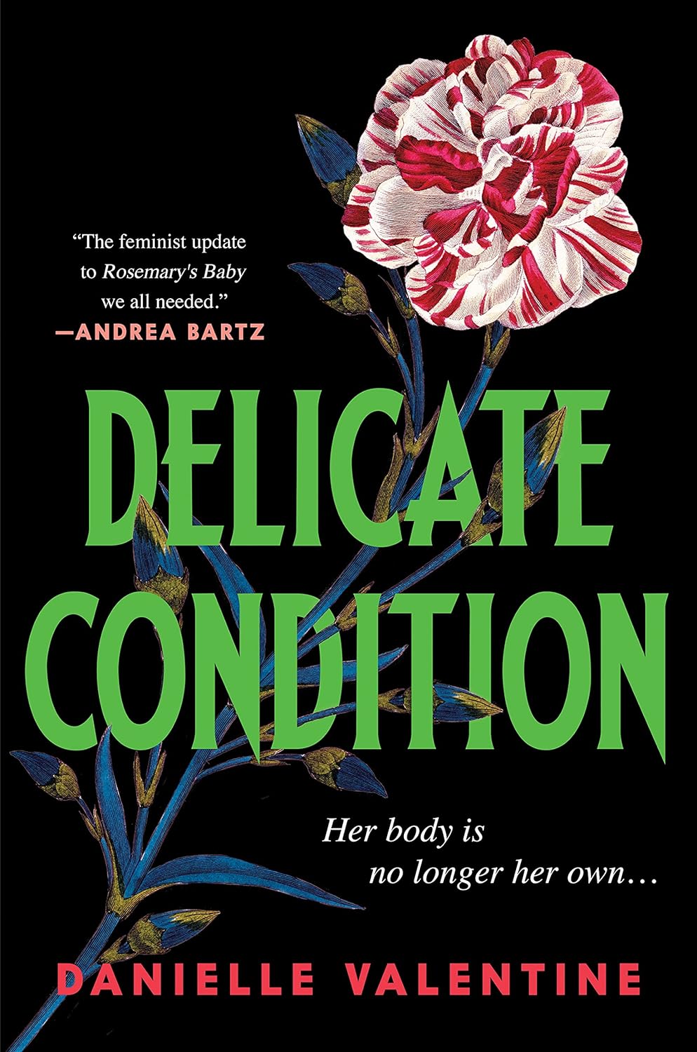 Delicate Condition - by Danielle Valentine (Hardcover)