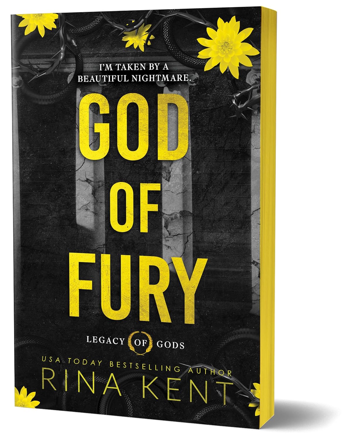 God of Fury (Deluxe Edition) (Special) (Legacy of Gods #5) - by Rina Kent