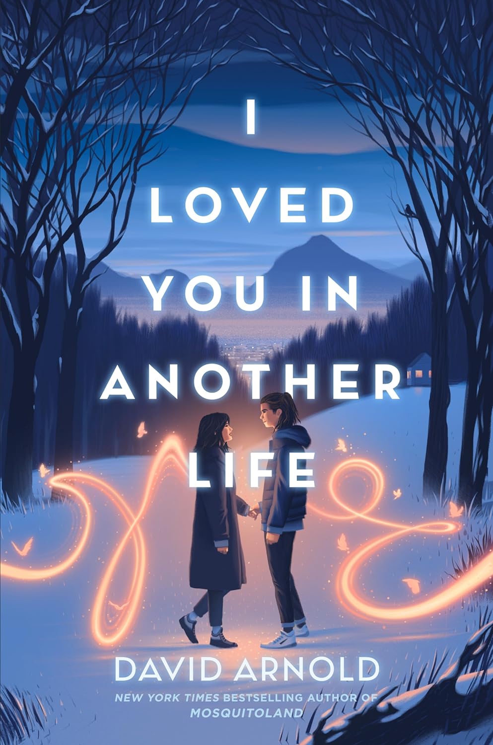 I Loved You in Another Life - by David Arnold (Hardcover)