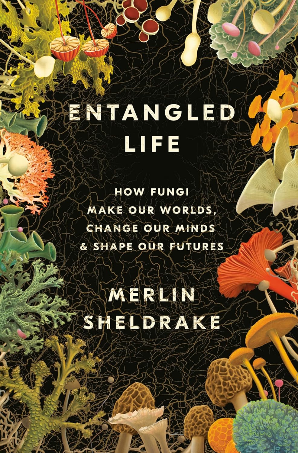 Entangled Life: How Fungi Make Our Worlds, Change Our Minds & Shape Our Futures - by Merlin Sheldrake