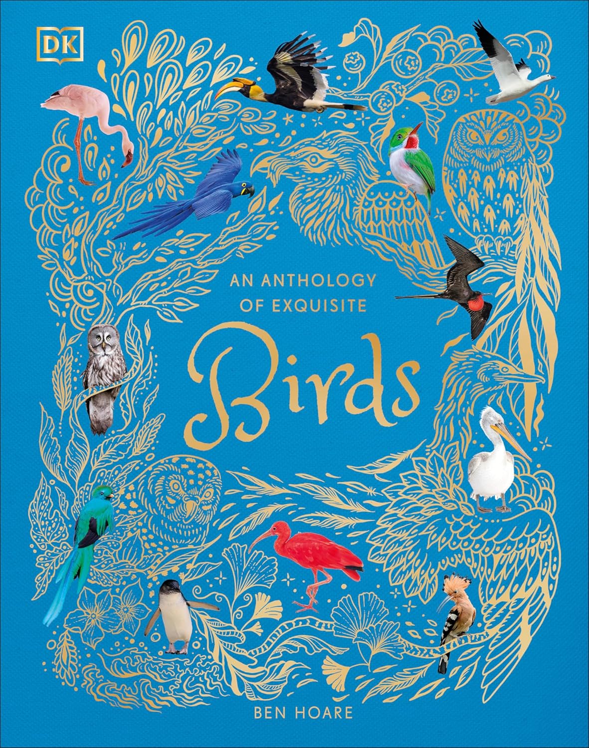 An Anthology of Exquisite Birds (DK Children's Anthologies) - by Ben Hoare (Hardcover)