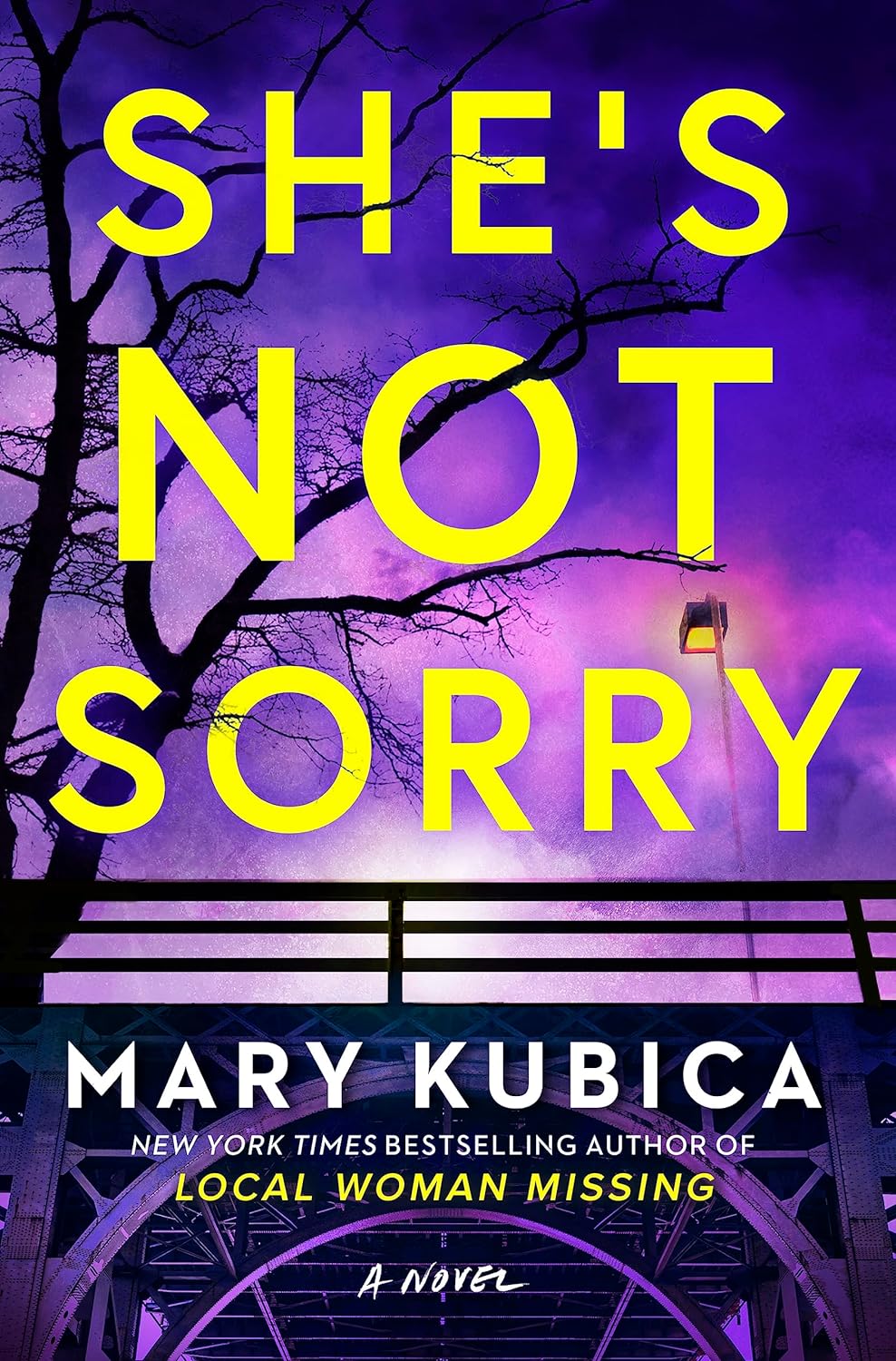 She's Not Sorry: A Psychological Thriller - by Mary Kubica (Hardcover)