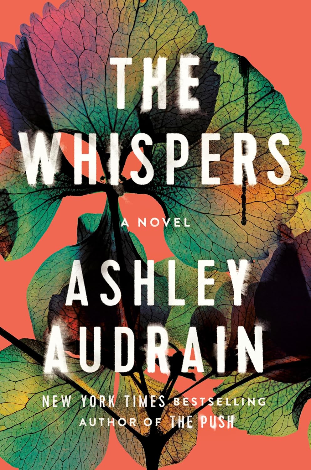 The Whispers - by Ashley Audrain (Hardcover)