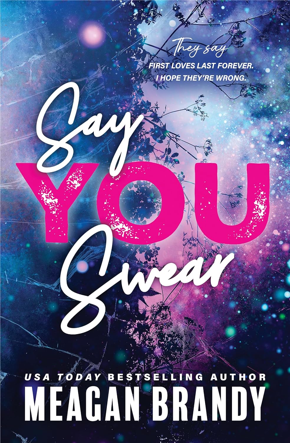 Say You Swear - by Meagan Brandy