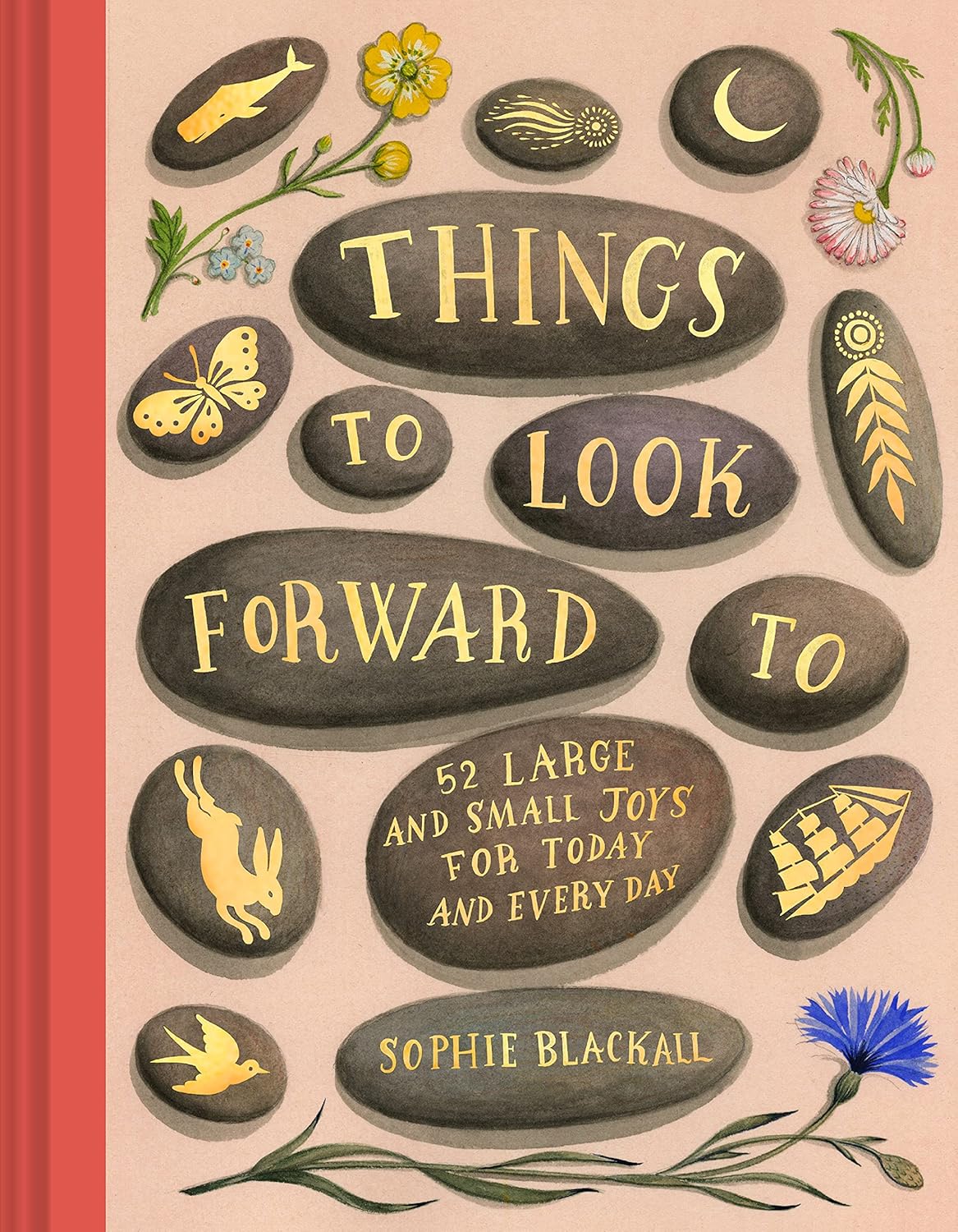 Things to Look Forward to: 52 Large and Small Joys for Today and Every Day - by Sophie Blackall (Hardcover)