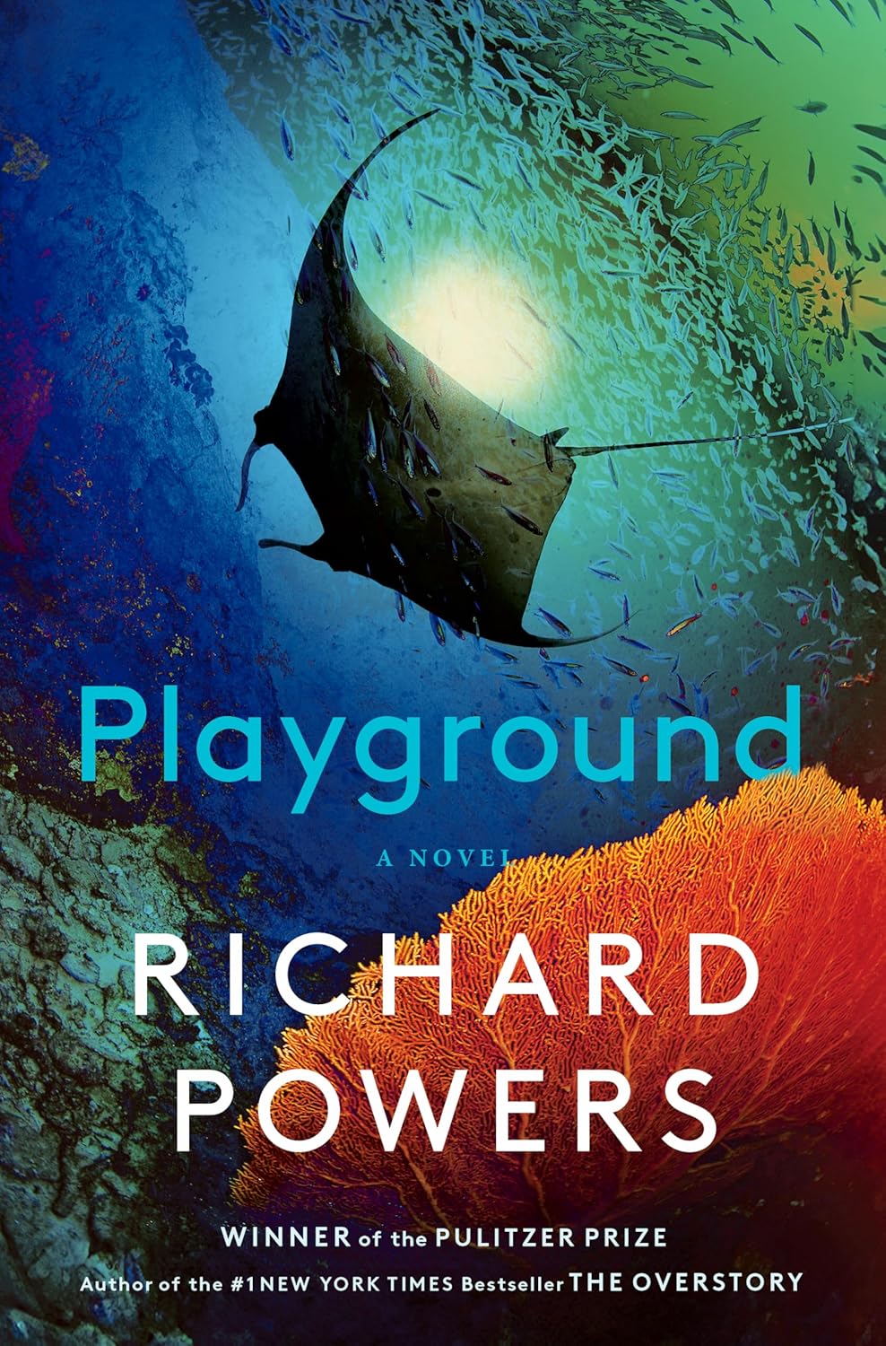 Playground - by Richard Powers (Hardcover)