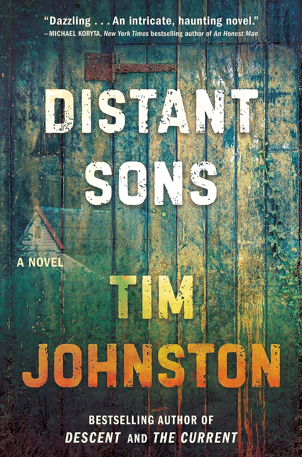 Distant Sons - by Tim Johnston (Hardcover)